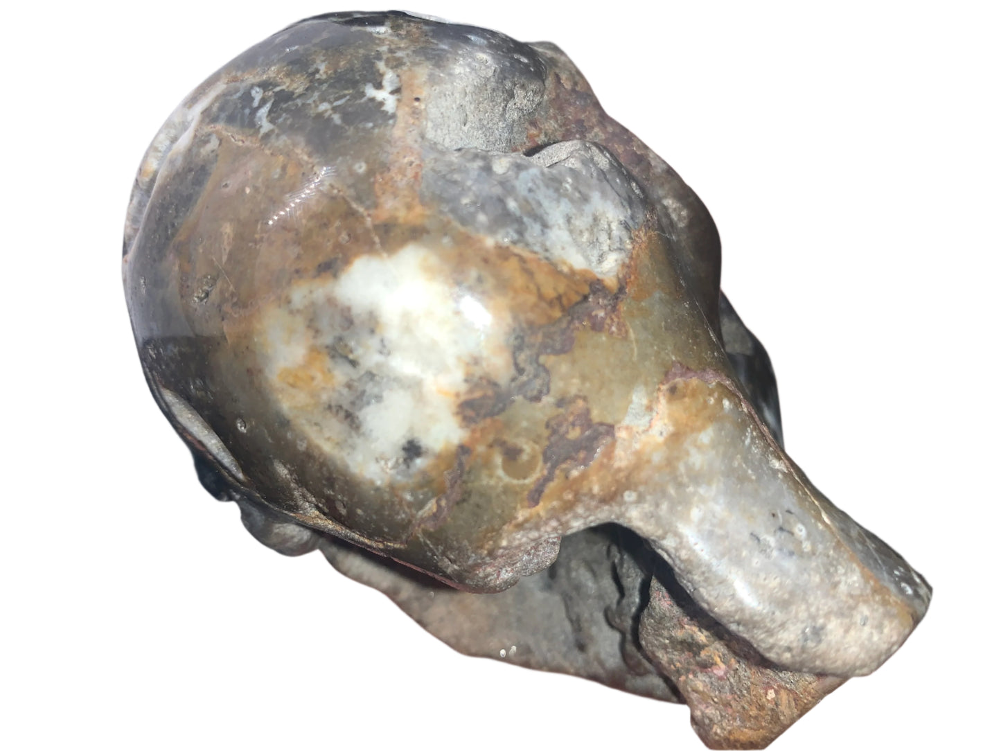 Portal elemental de calavera de ágata mixta de 4,5"
