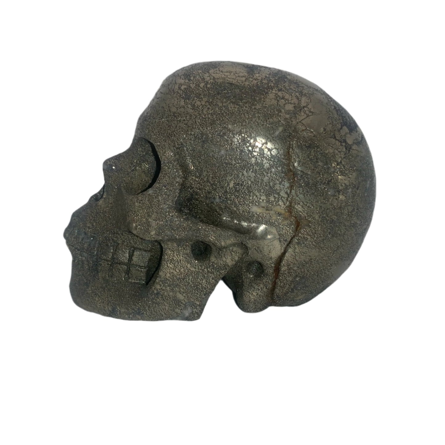 Cráneo de pirita de 5,2"
