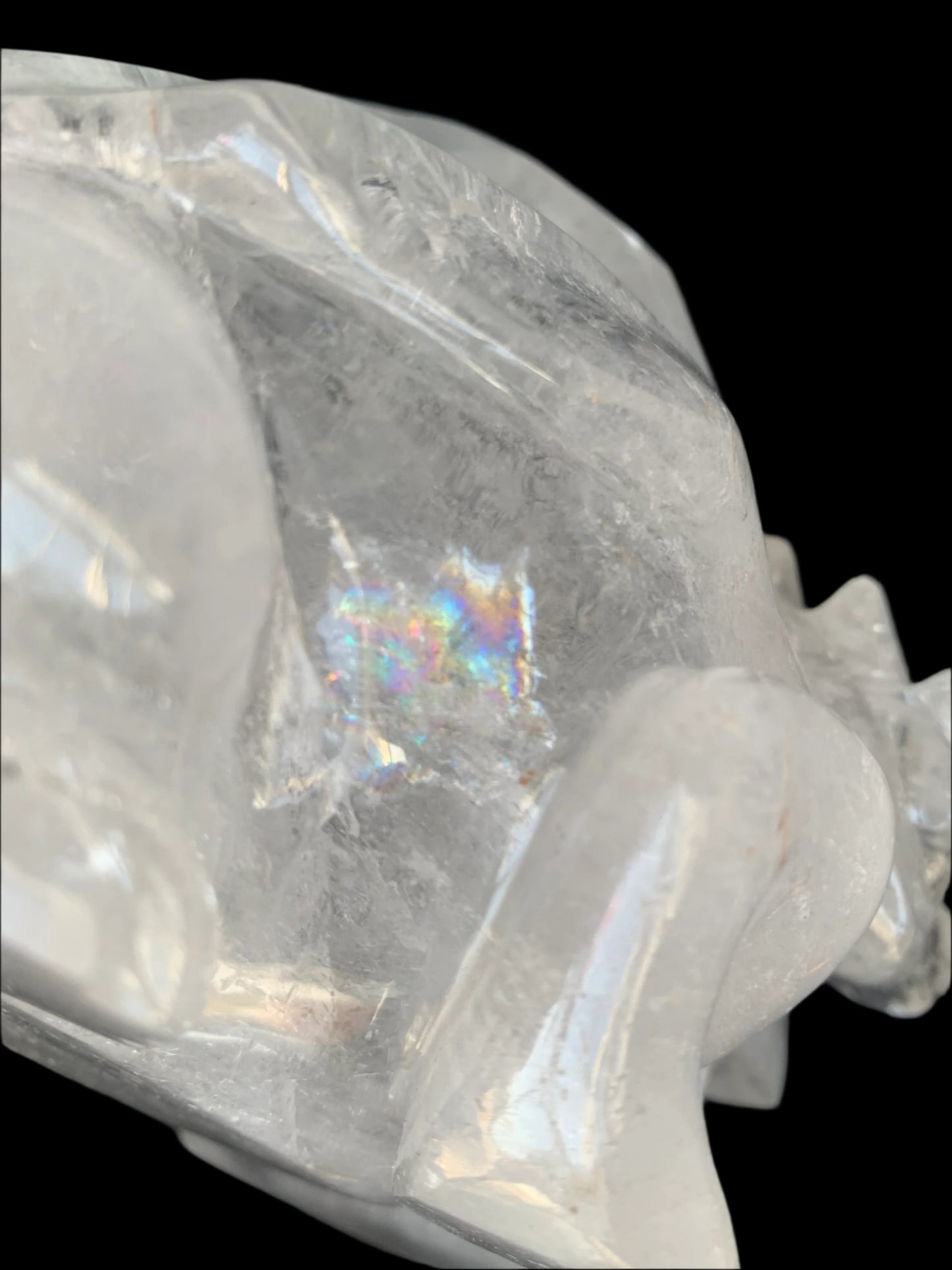 Leandro de Souza Lemurian Sirius Quartz Skull with Dragon