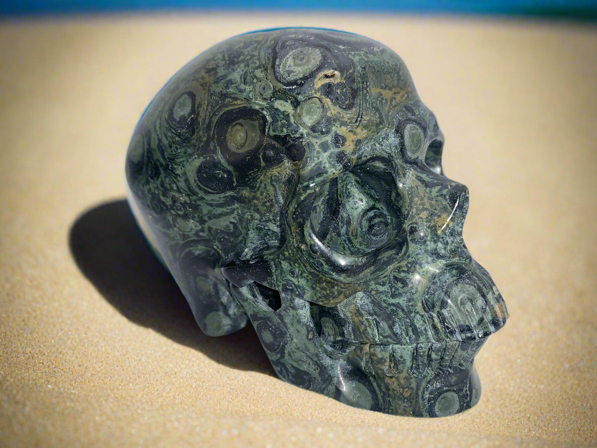5.3" Kambaba Jasper