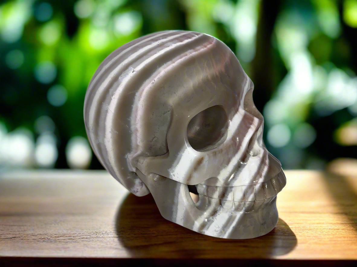5.4" Onyx Agate Skull