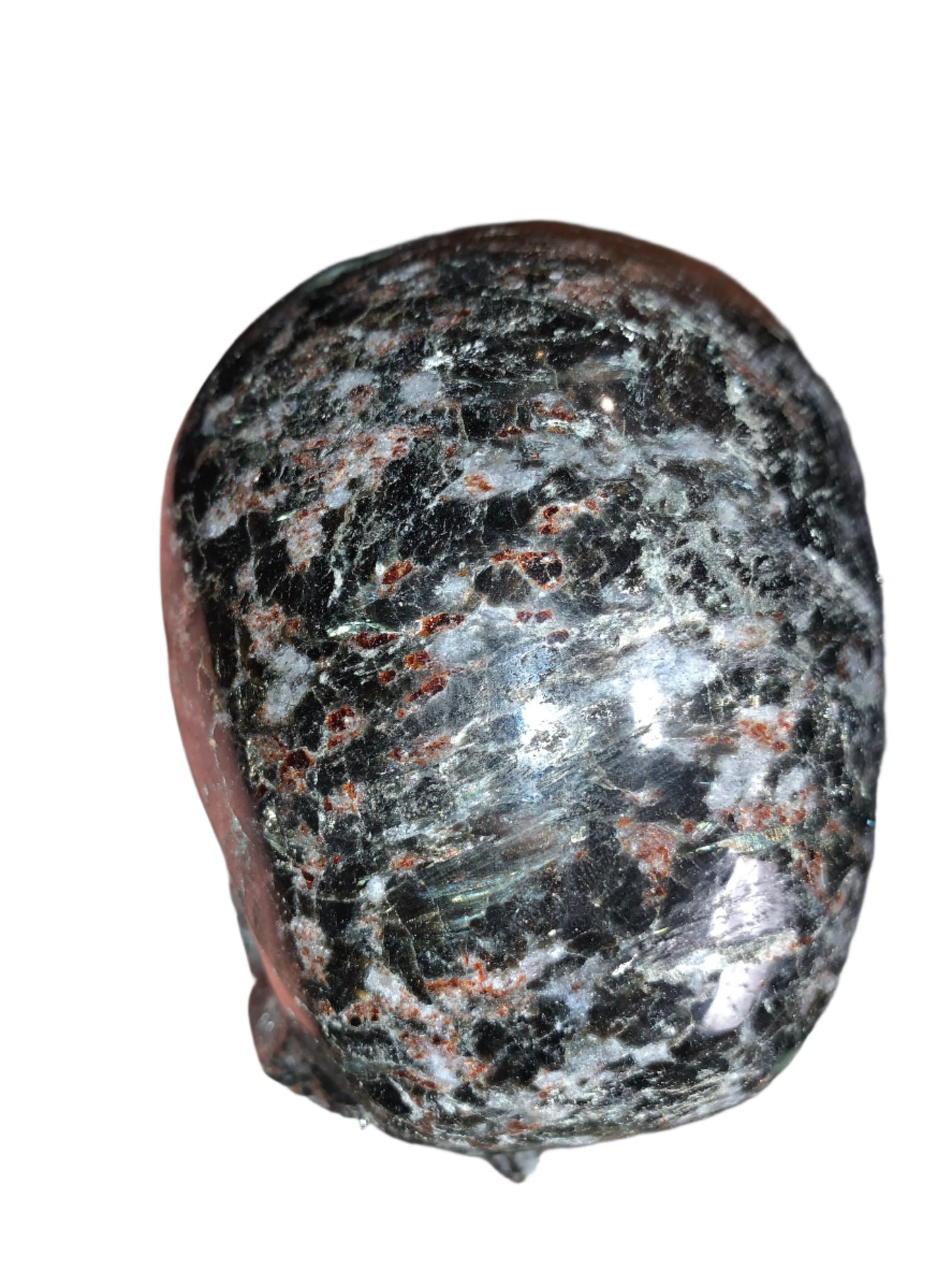 5.4" Larvikite Skull