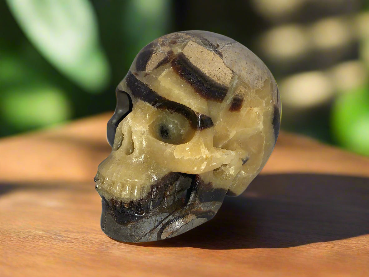 5.3" Septarian Skull