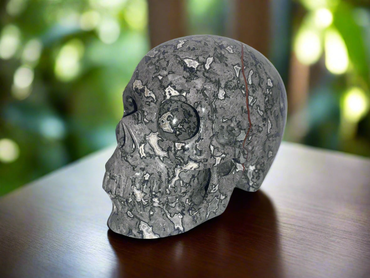 5.4" Picasso Jasper Skull