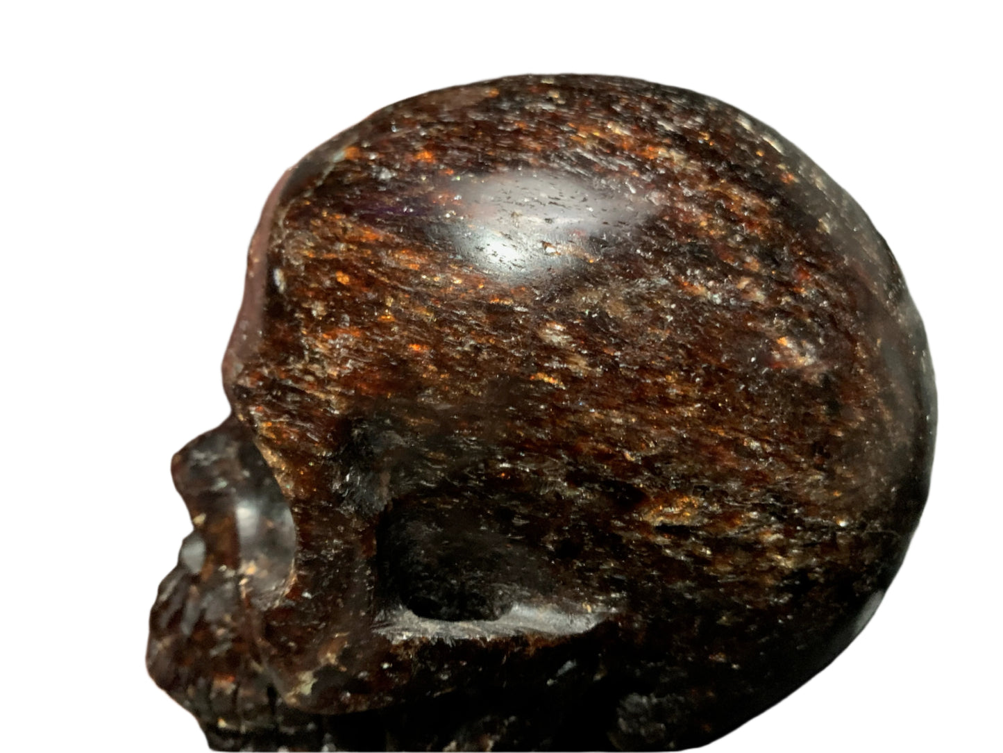 5.3" Garnet, Astrophyllite & Pyrite Skull