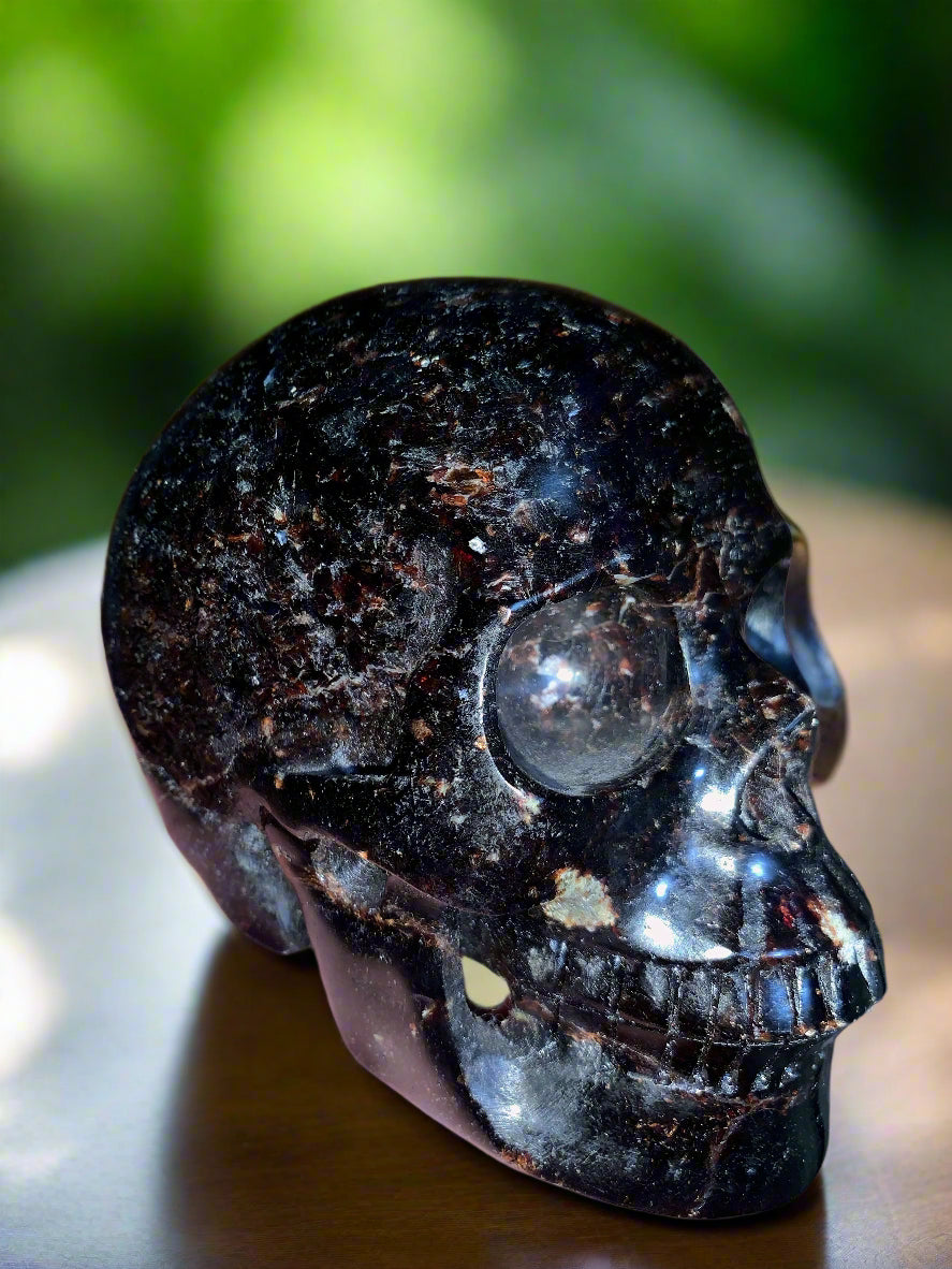 5.3" Garnet, Astrophyllite & Pyrite Skull