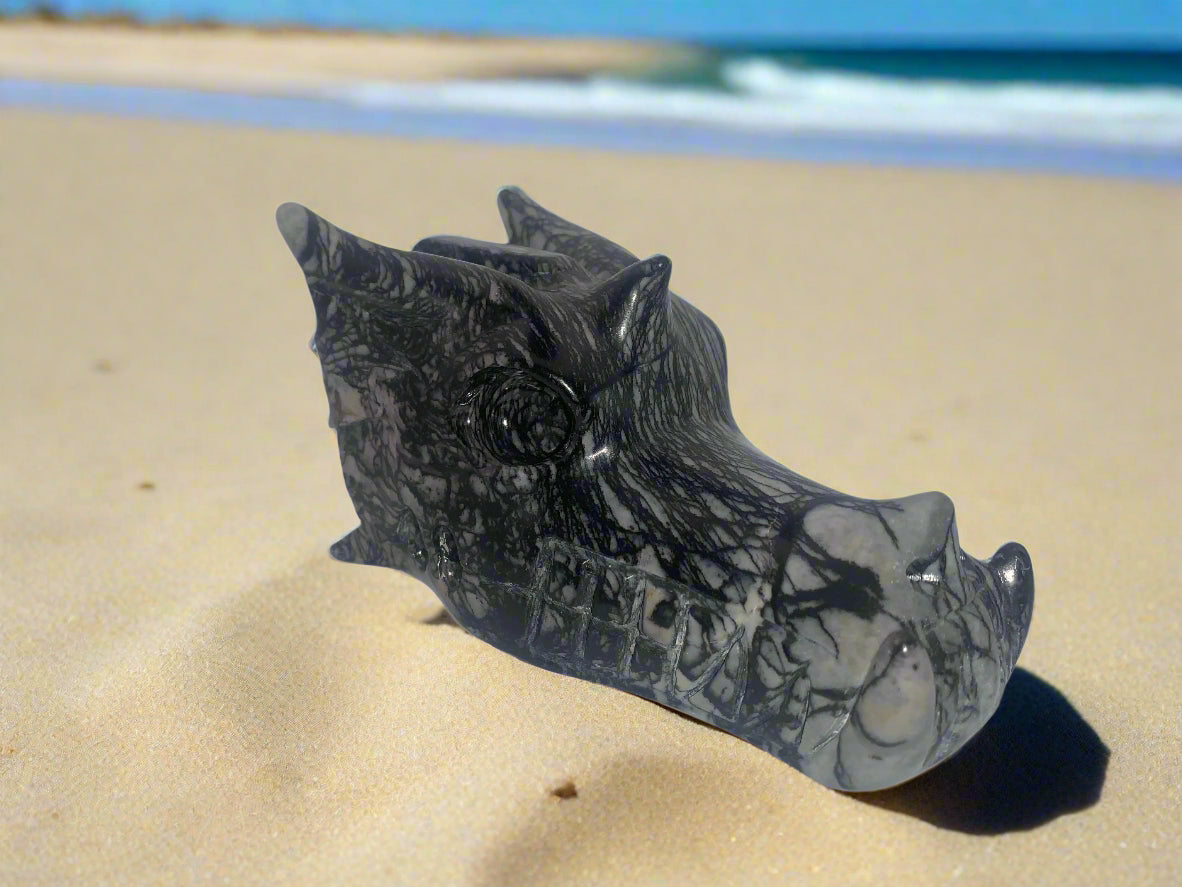 6.2" Network Jasper Dragon Skull