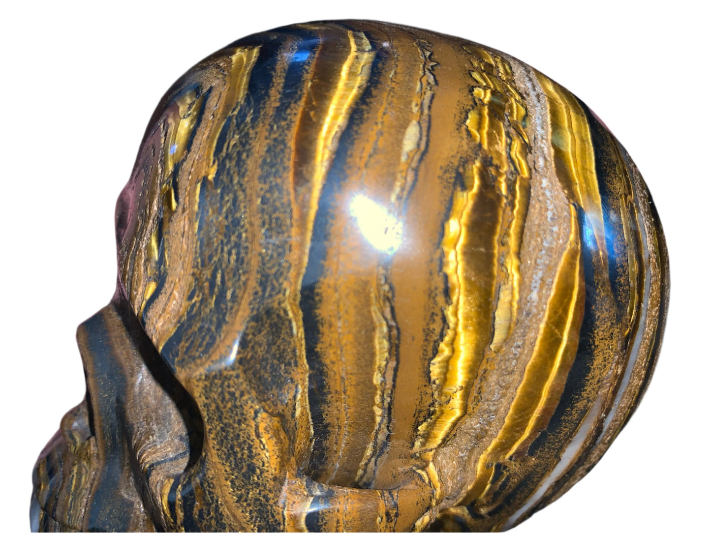 Cráneo de ojo de tigre Chatoyant de 5,2"