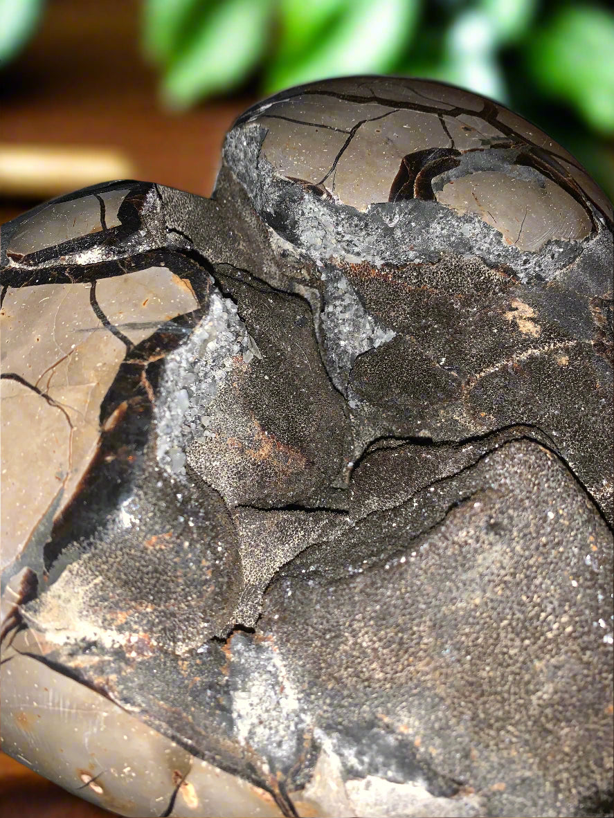 27lb Septarian, Argonite, Barite & Calcite Geode Heart