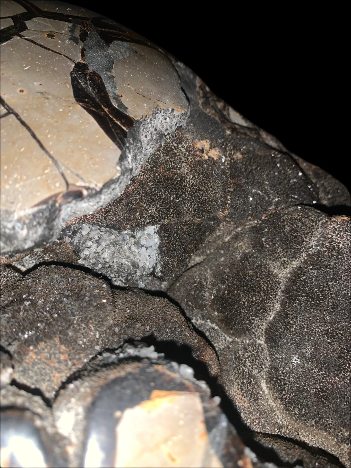 27lb Septarian, Argonite, Barite & Calcite Geode Heart