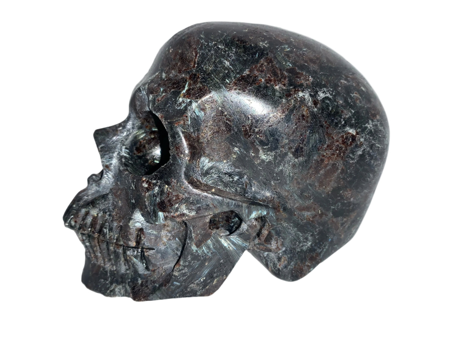 Cráneo de arfvedsonita de 4,7"