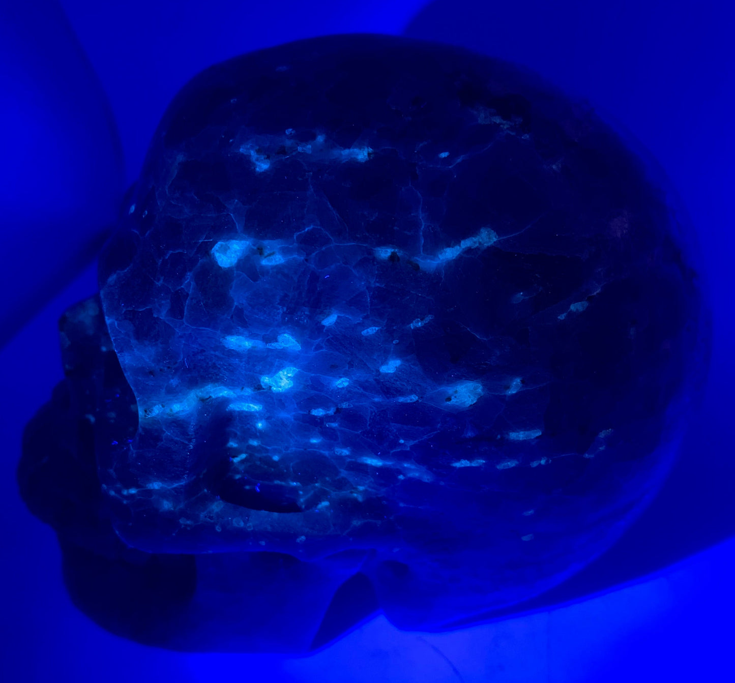 Cráneo de calcita azul de 5"