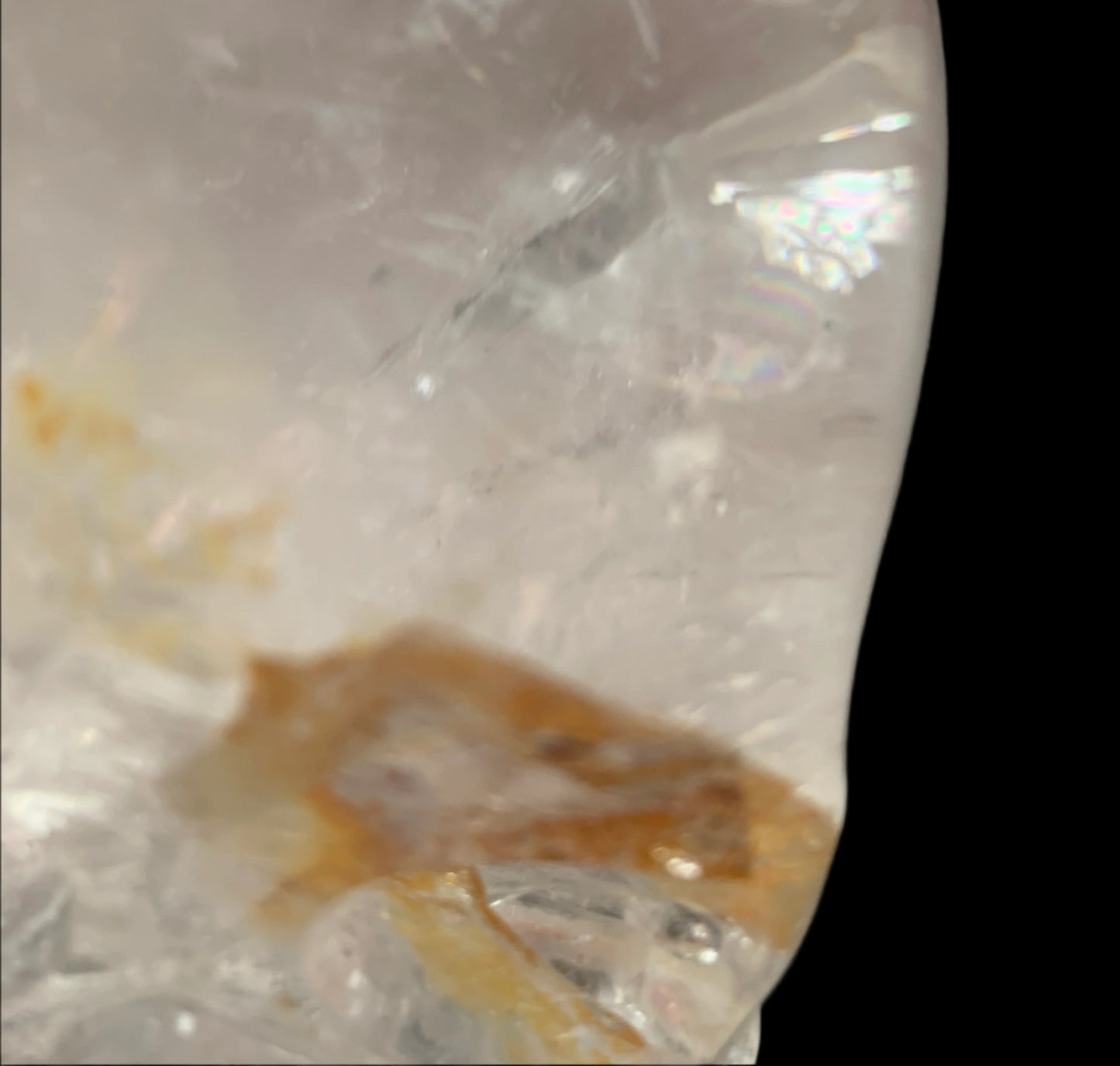 5" Himalayan Quartz Golden Healer Skull w/ Rainbows