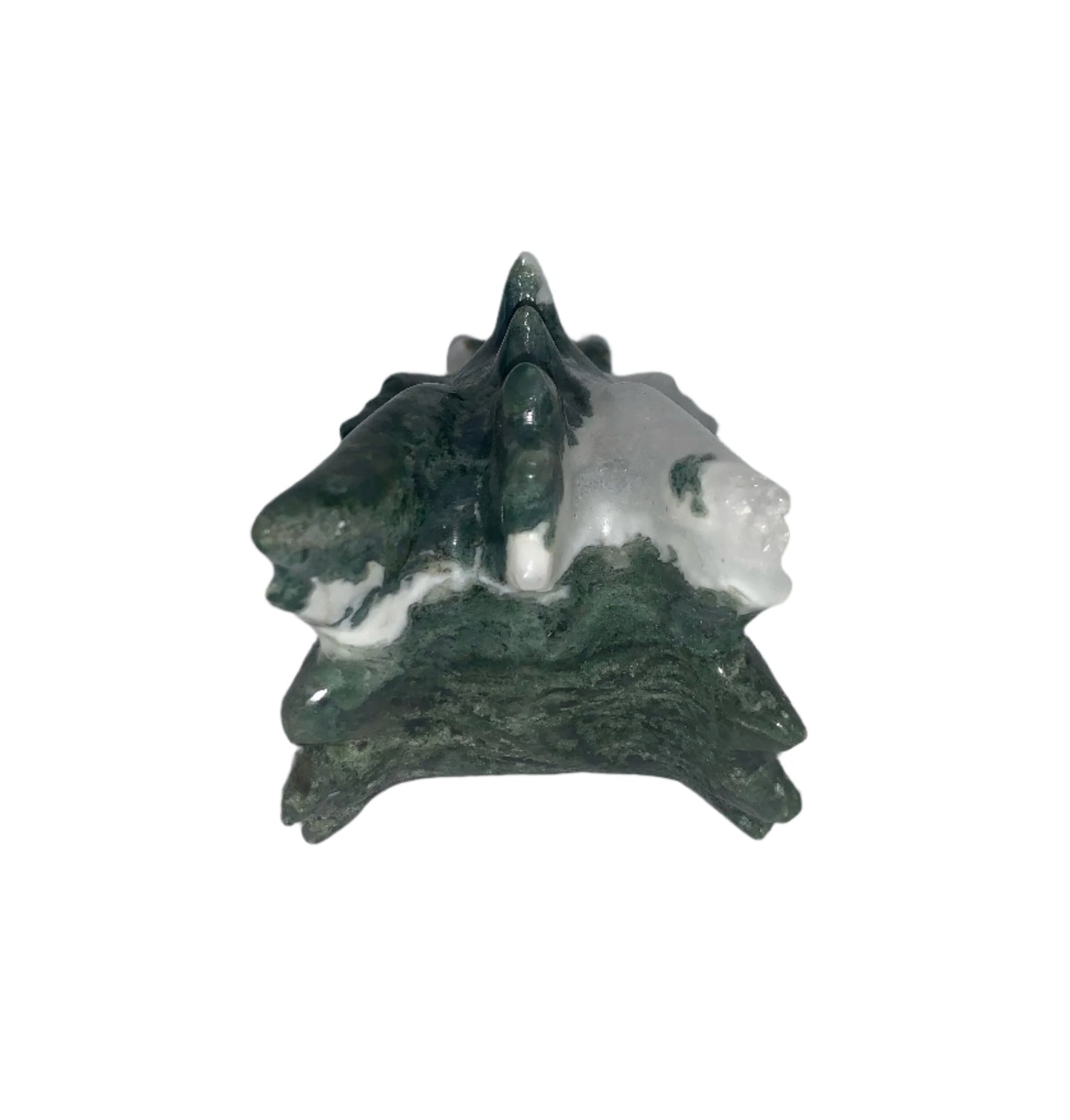 Tree Moss Agate Druzy 5.5" Dragon Skull
