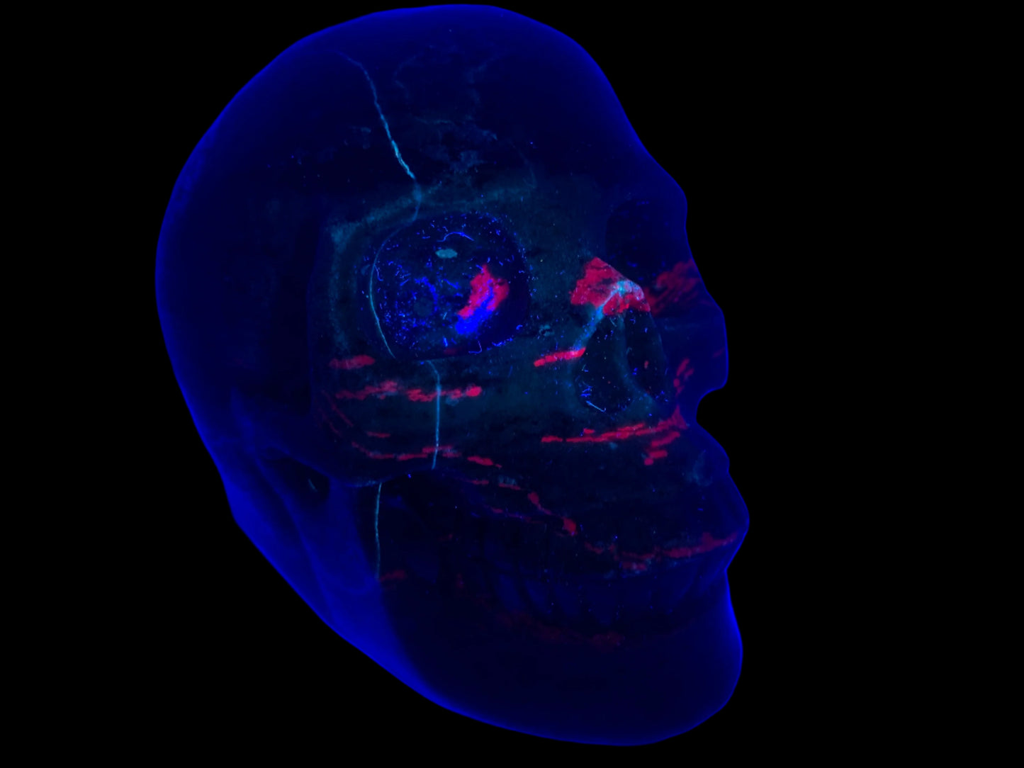 5.3" Ruby Zoisite Skull
