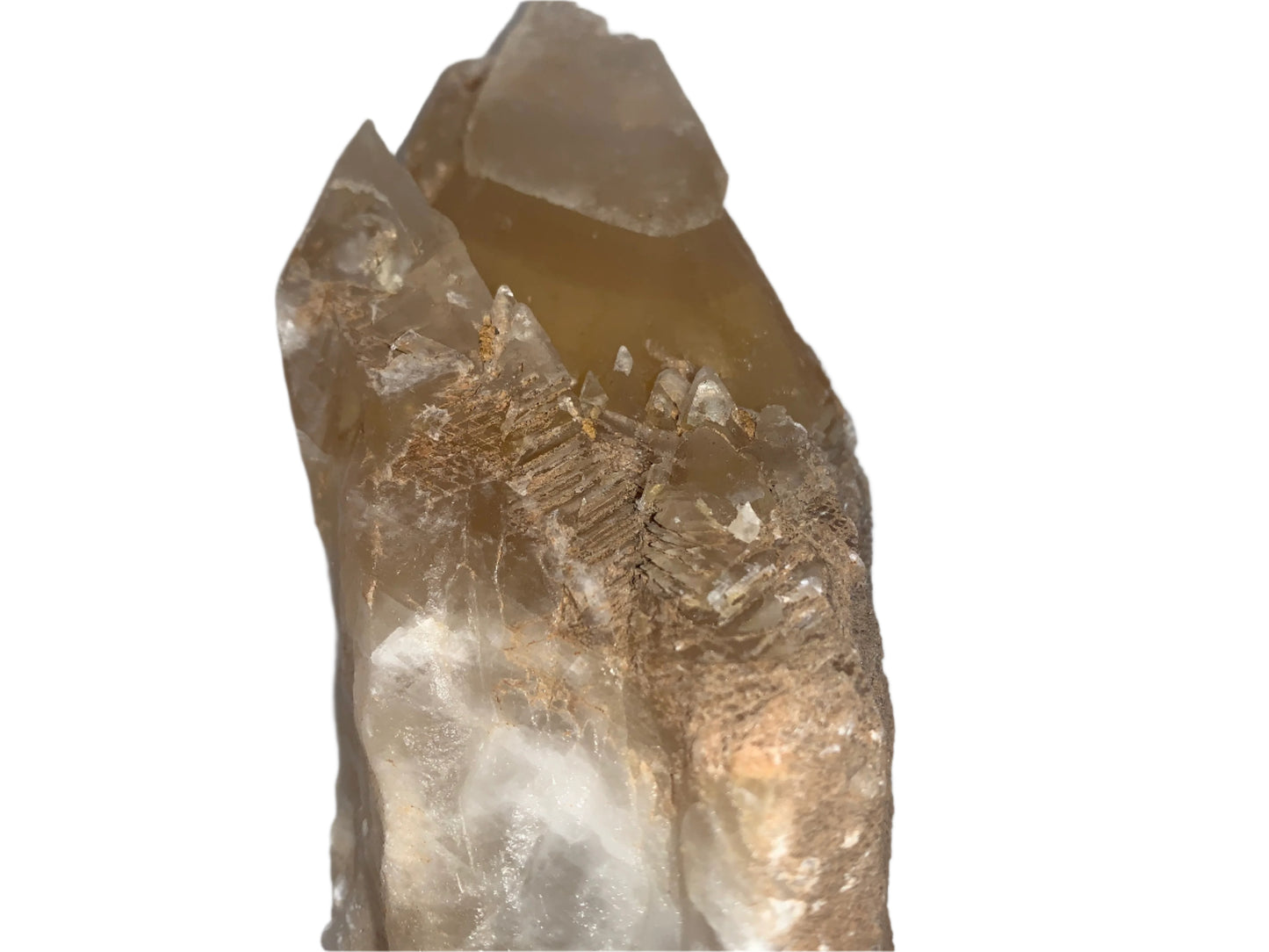 5.8" Time Keeper Dog Tooth Laser Wand Calcite