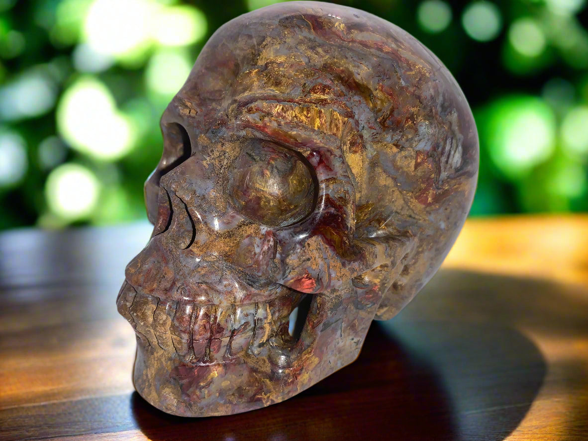 5.4" Pietersite Skull