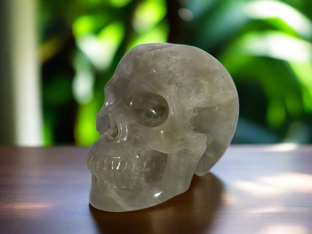 5.4" Citrine & Tourmaline Skull w/ Rainbows