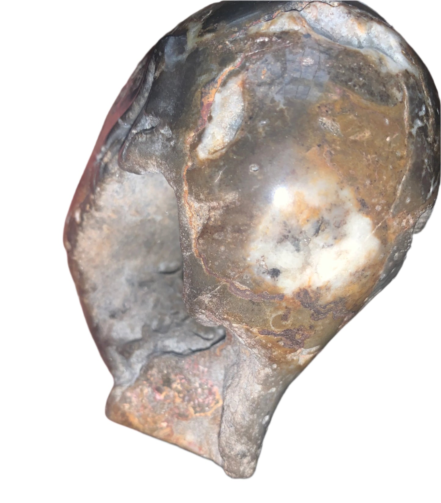 Portal elemental de calavera de ágata mixta de 4,5"