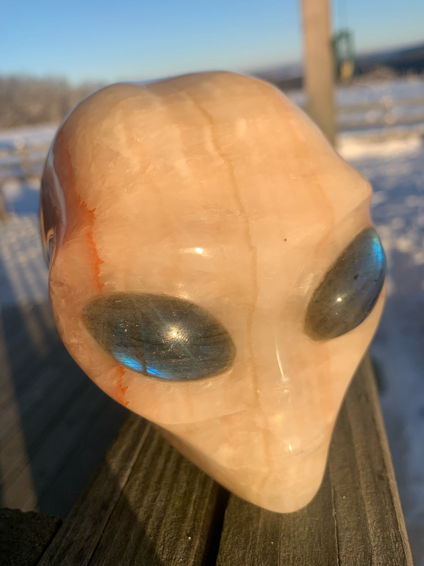 Calavera con forma de estrella de calcita naranja de 4,8" y drusa