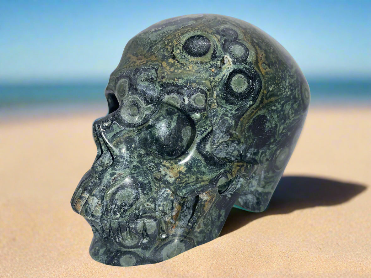 5.3" Kambaba Jasper