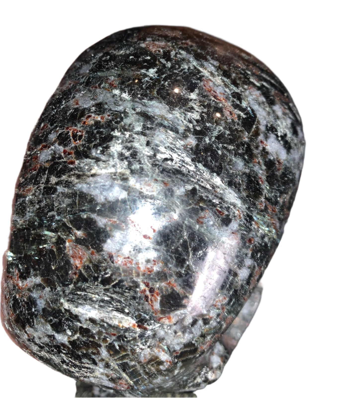 5.4" Larvikite Skull