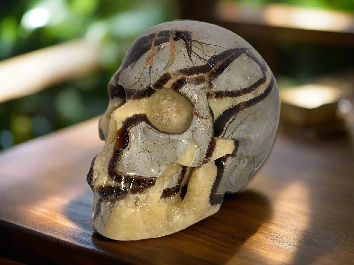 5.4" Septarian Skull