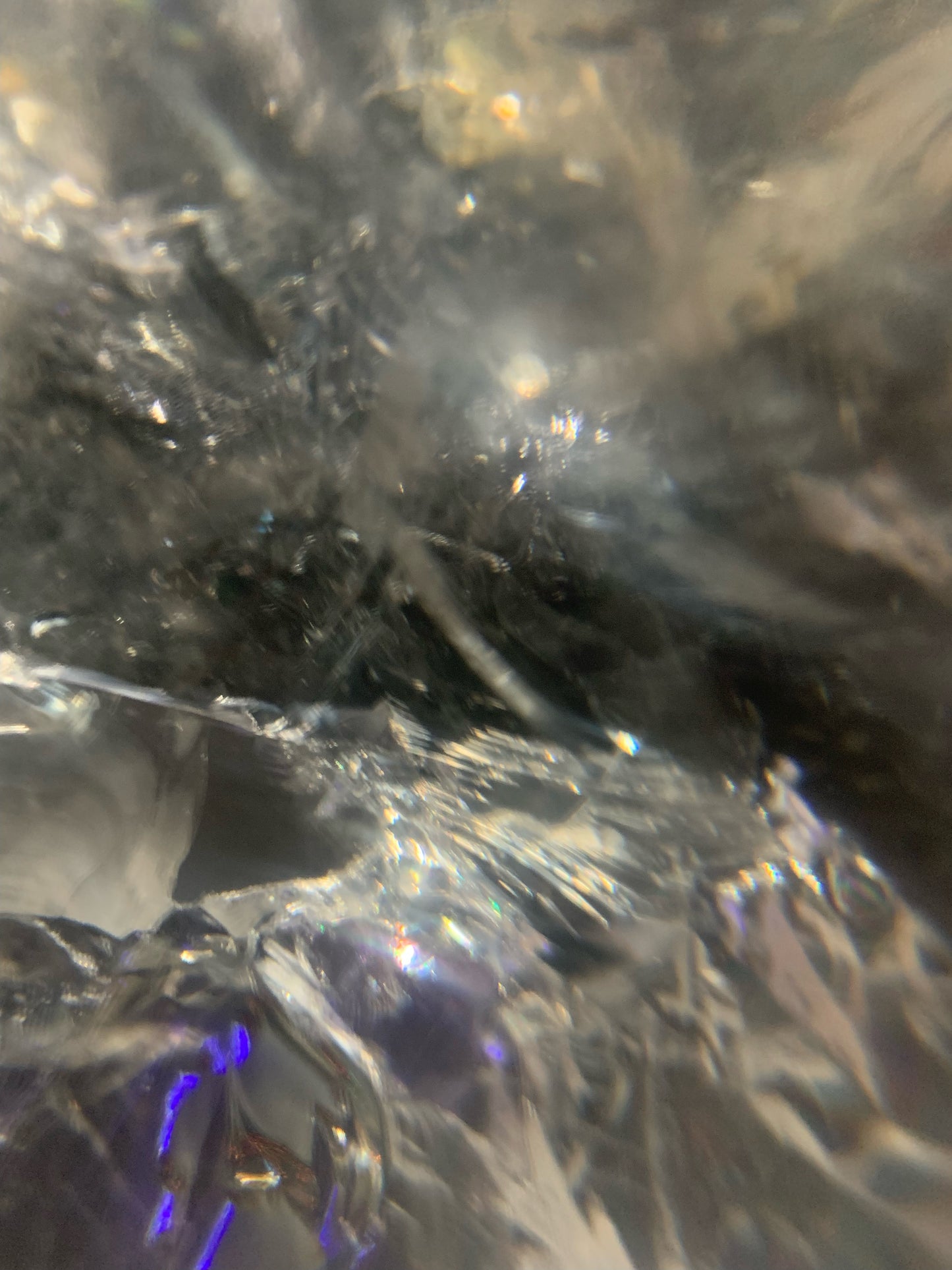 Himalayan Quartz Skull Star-brary w/ Rainbows