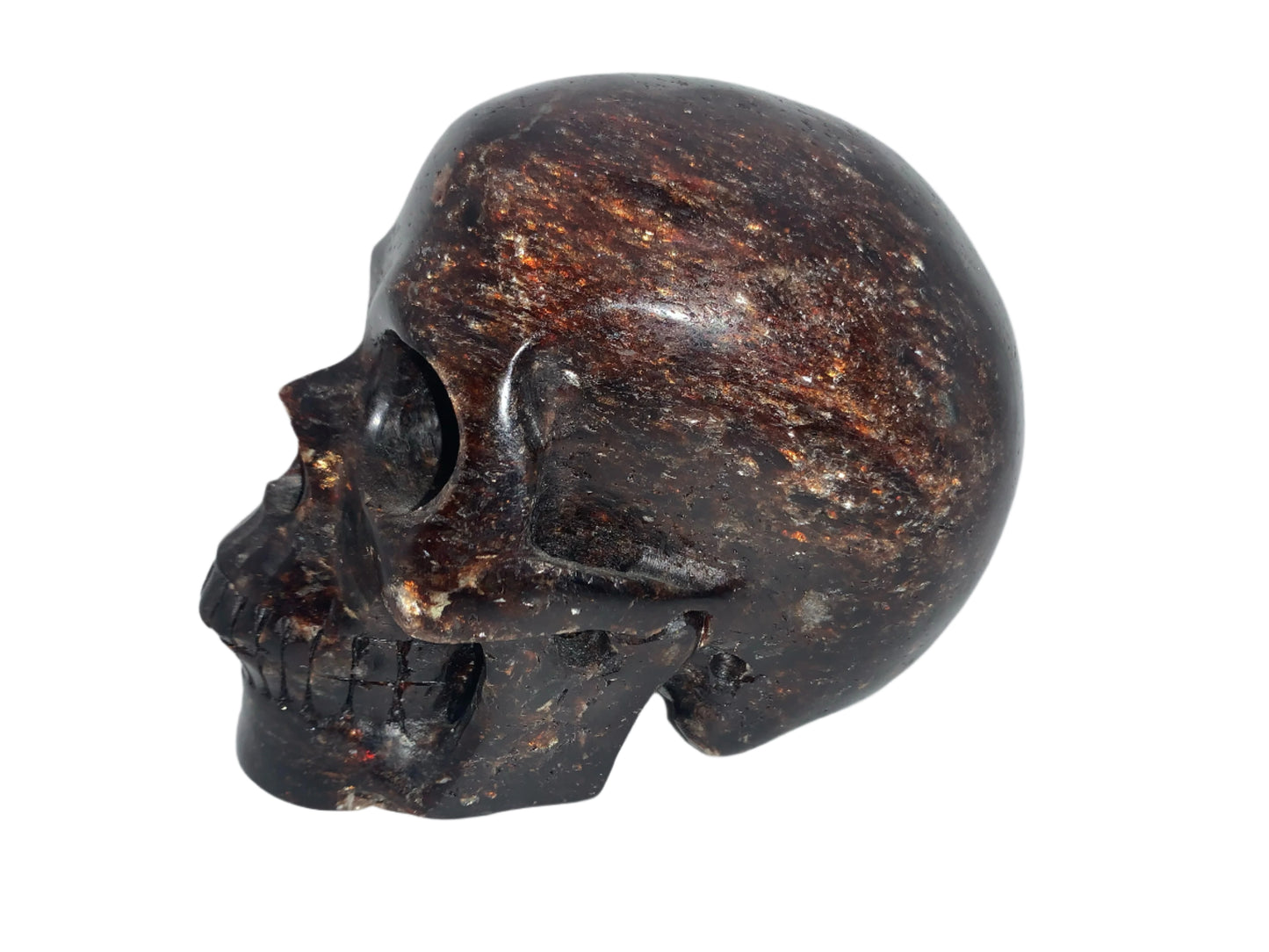 5.3" Garnet, Astrophyllite & Pyrite Skull