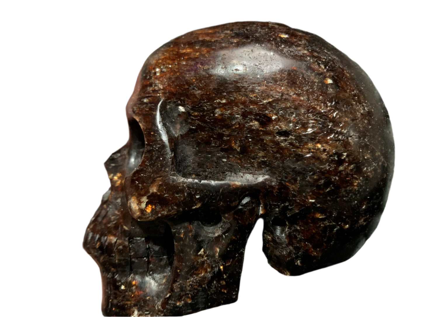 5.3" Garnet, Astrophyllite & Pyrite Skull