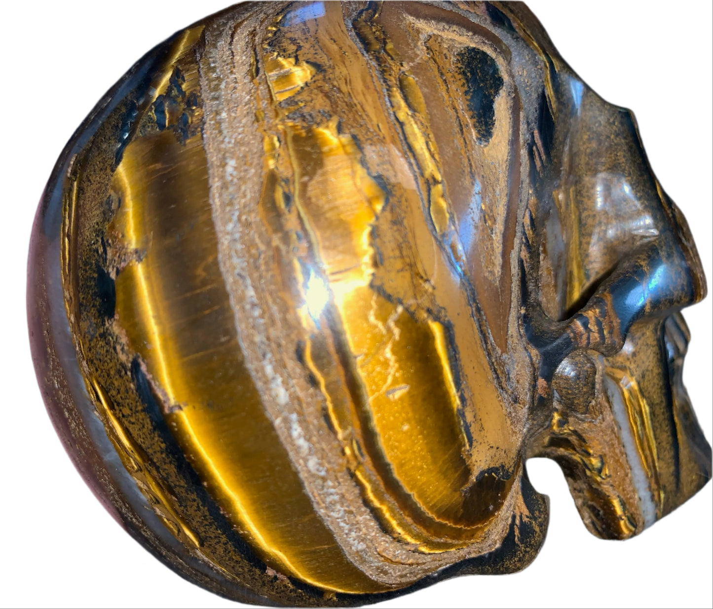 Cráneo de ojo de tigre Chatoyant de 5,2"