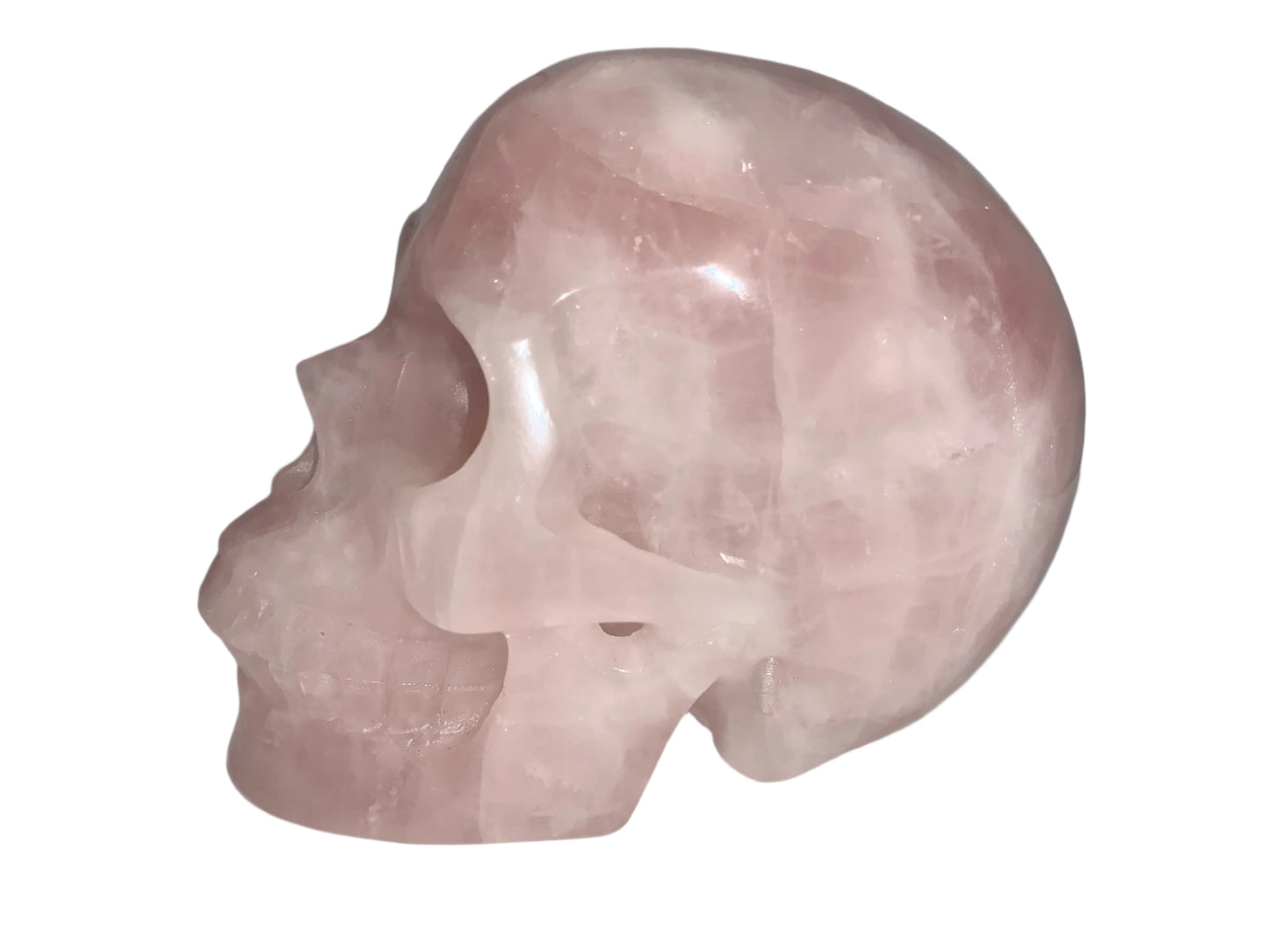 5.3" Rose Quartz Skull