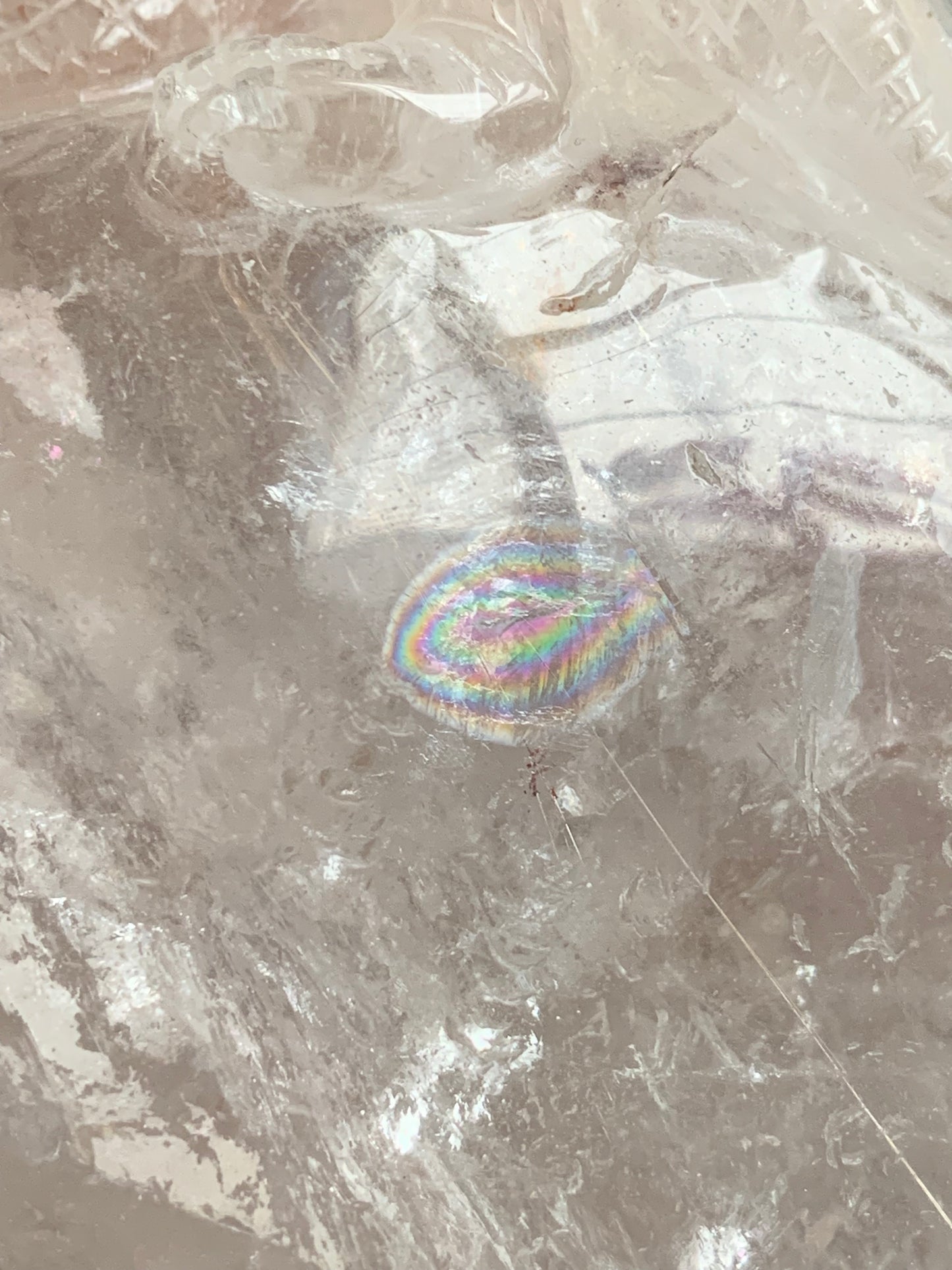6.75" Copper Rutilated Quartz Lizard Skull w/ Rainbows