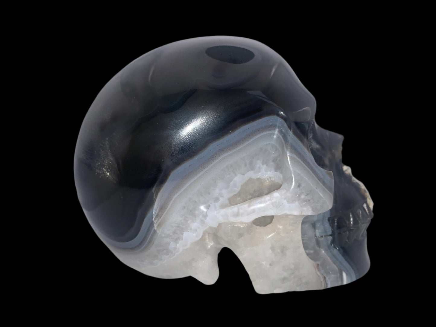 5.4" Agate, Quartz & Seraphinite Skull