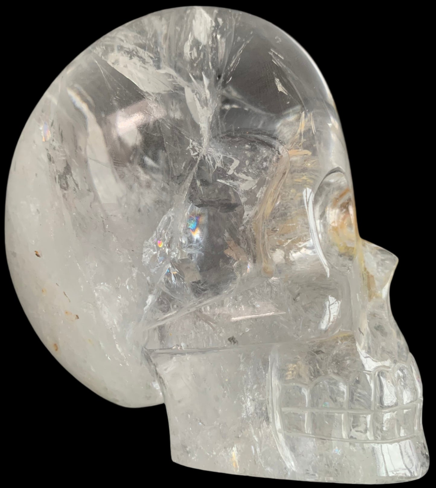 5" Himalayan Quartz Golden Healer Skull w/ Rainbows