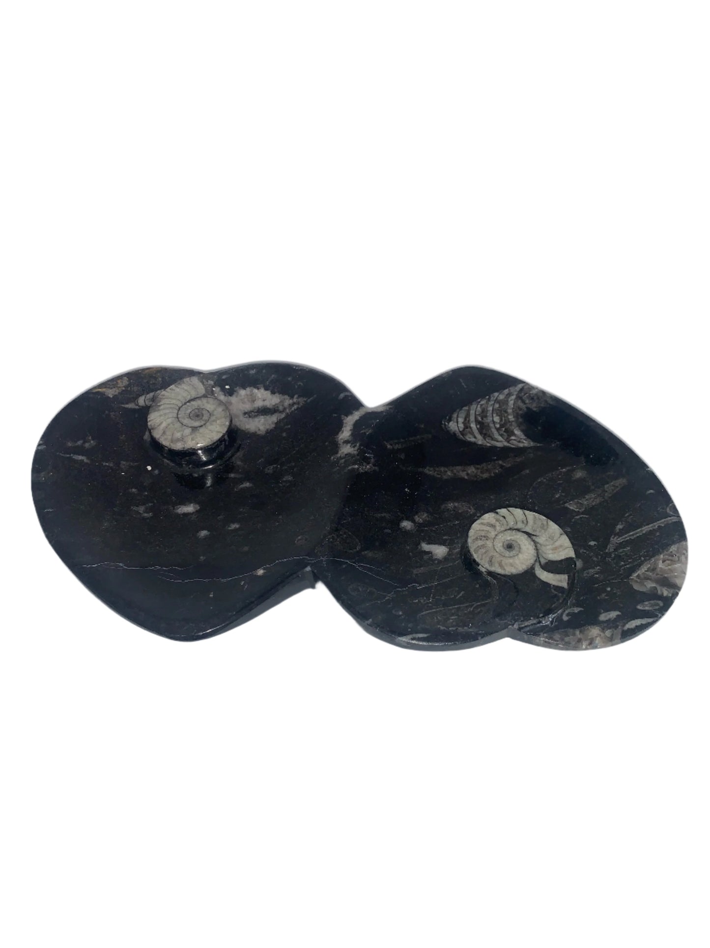 Orthoceras and Ammonite Two Hearts Dish