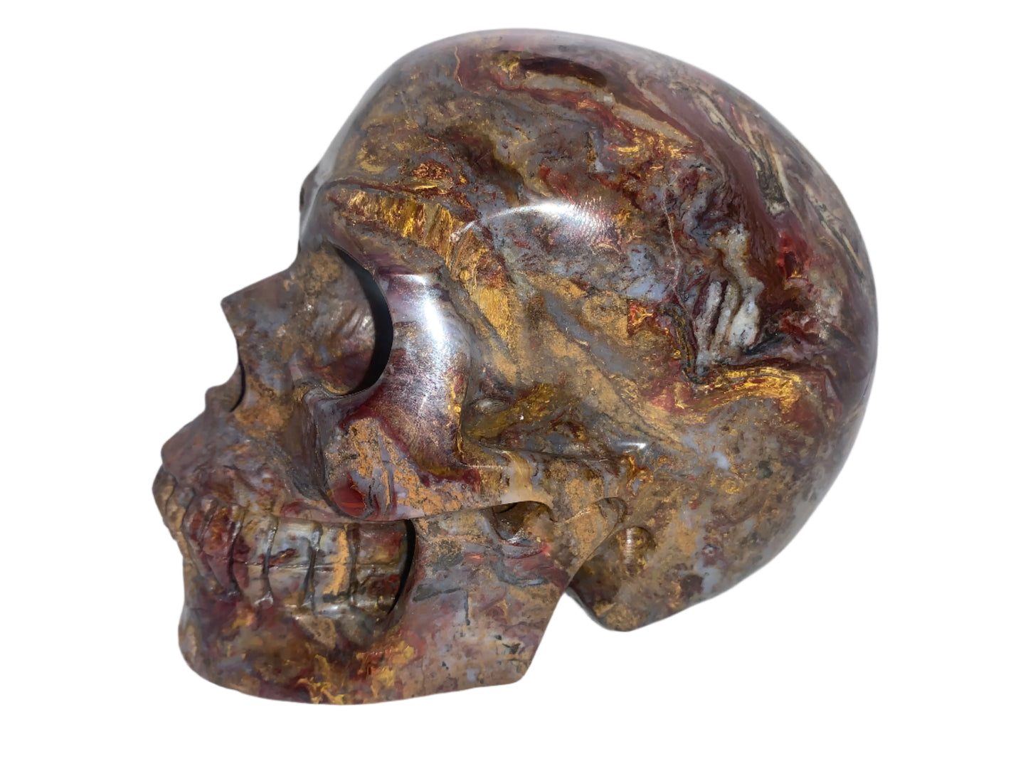 5.4" Pietersite Skull