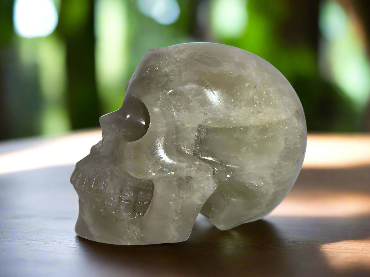 5.4" Citrine & Tourmaline Skull w/ Rainbows