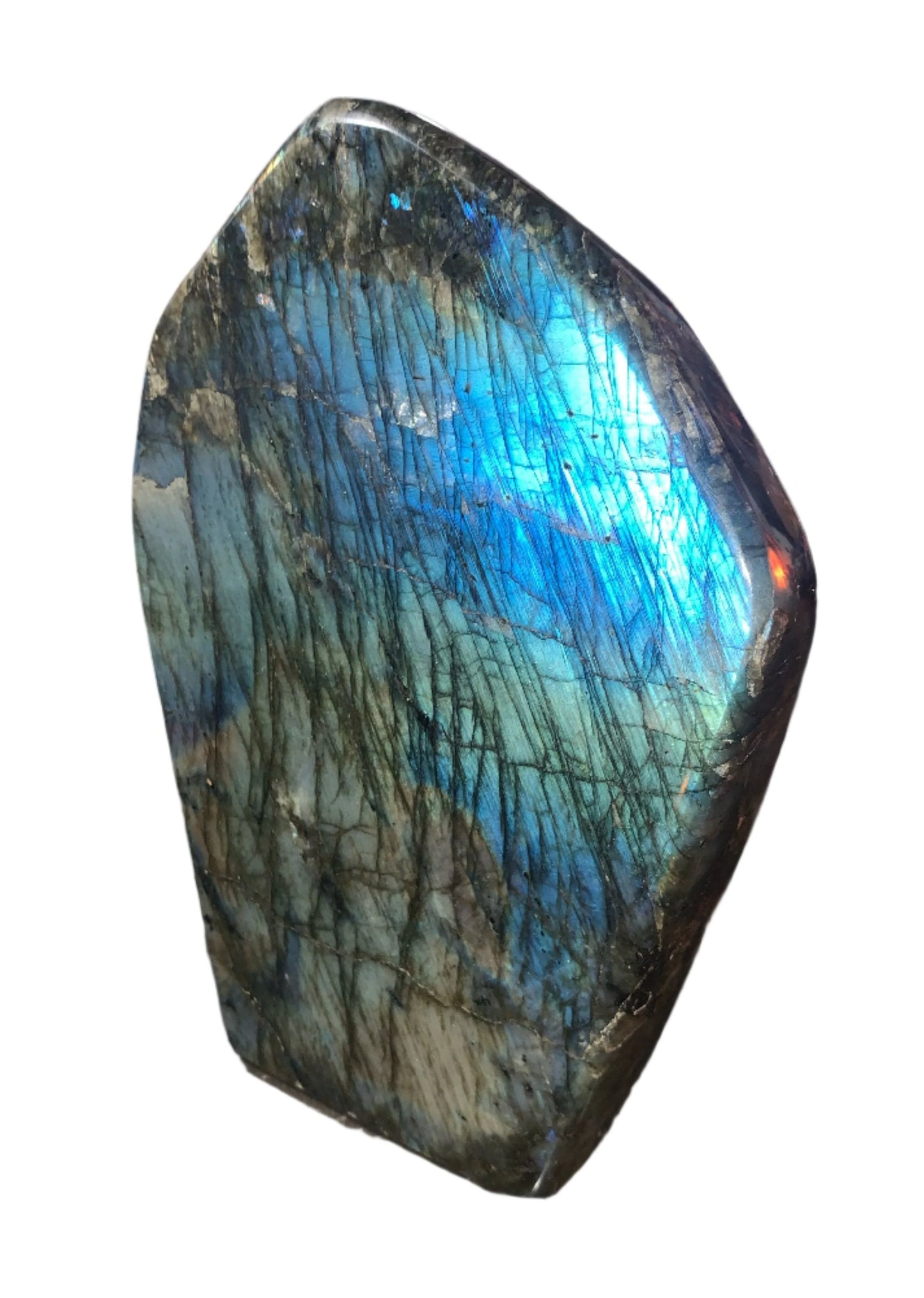 Large Free Form Spectrolite Slab (var. Labradorite)