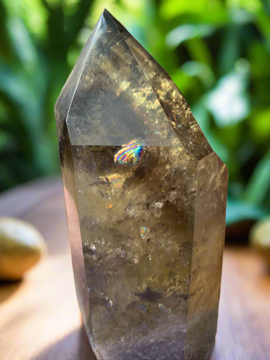 6.2" Smoky Citrine Channeler & Code Keeper Quartz Point w/ Rainbows
