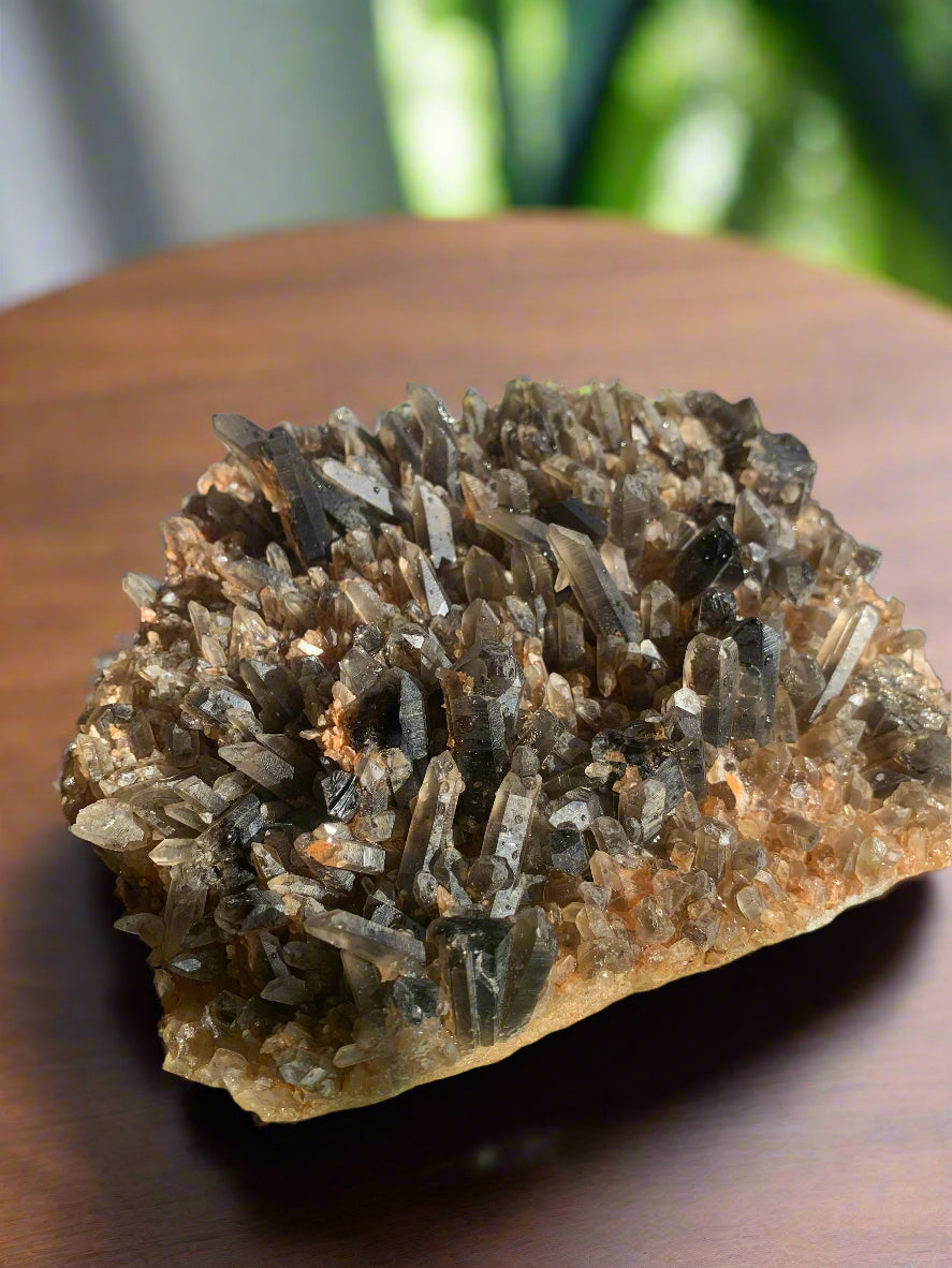 9" Smoky Quartz Cluster