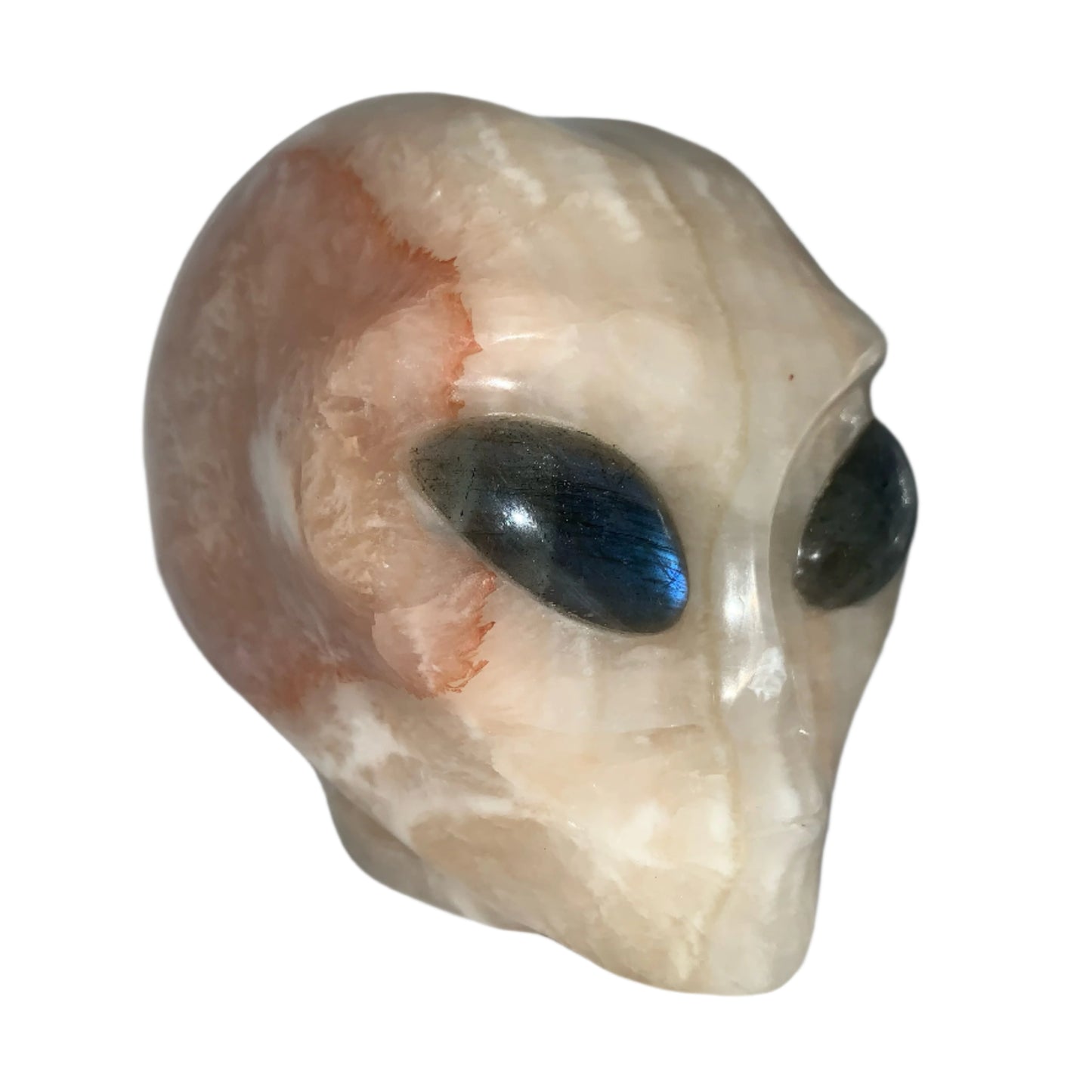Calavera con forma de estrella de calcita naranja de 4,8" y drusa