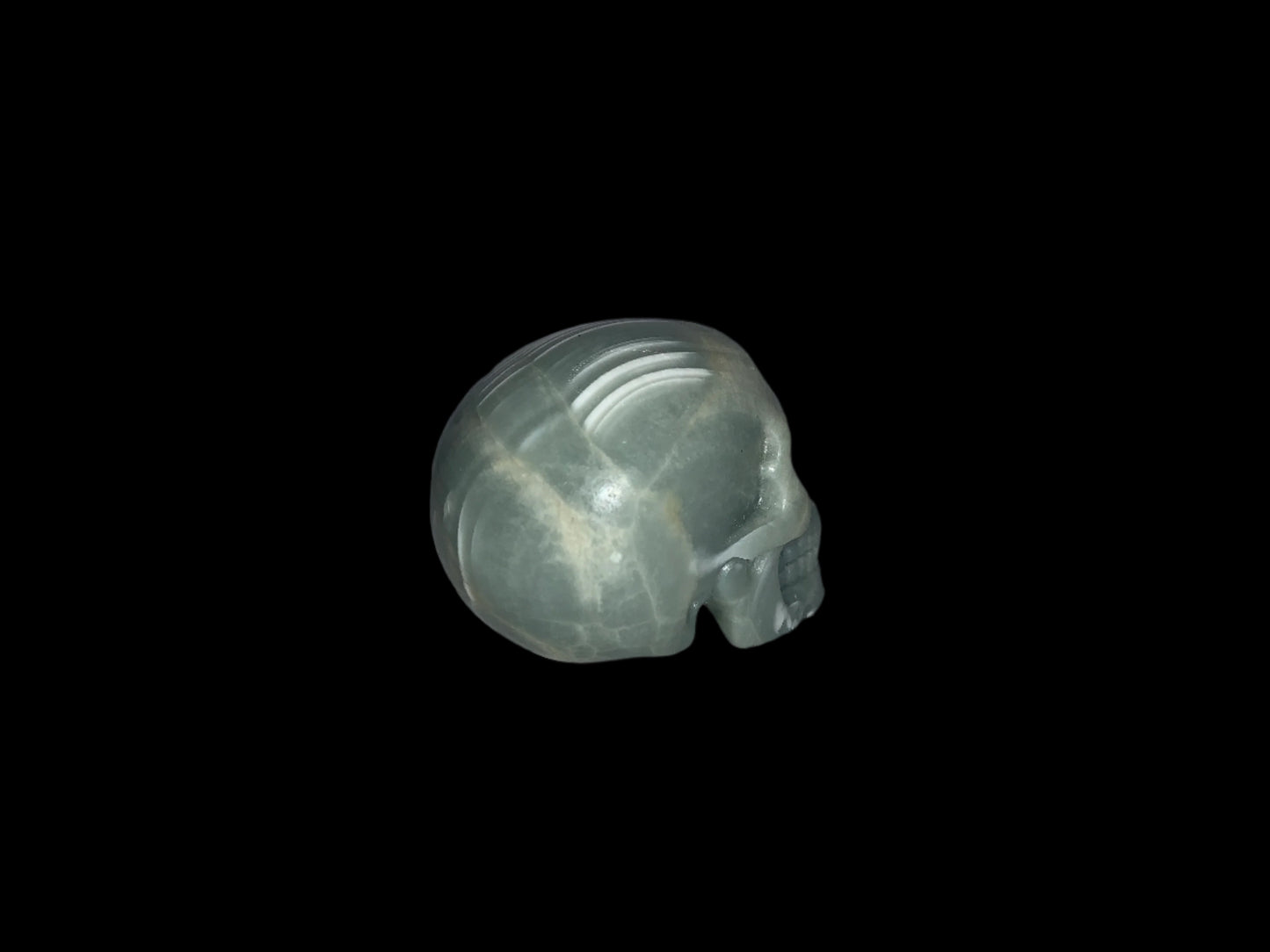2.2" Argentinian Onyx Skull