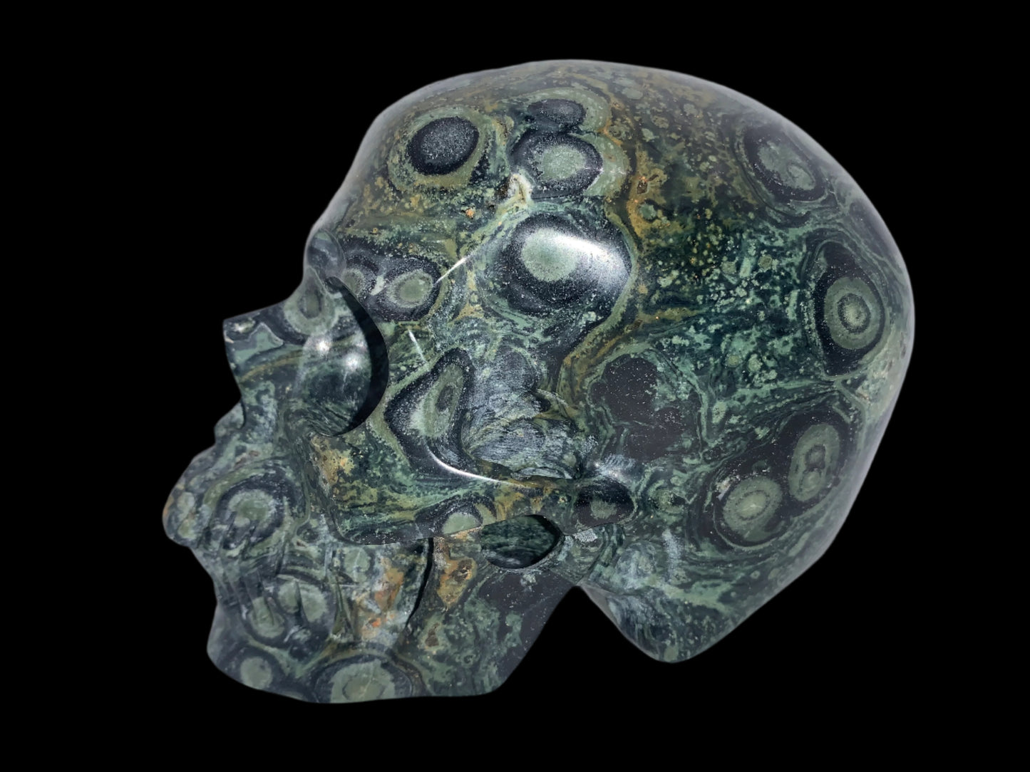 5.3" Kambaba Jasper