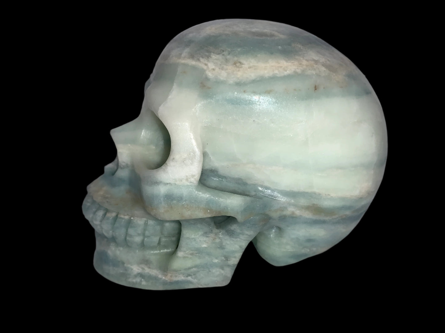 5.4" Amazonite Skull