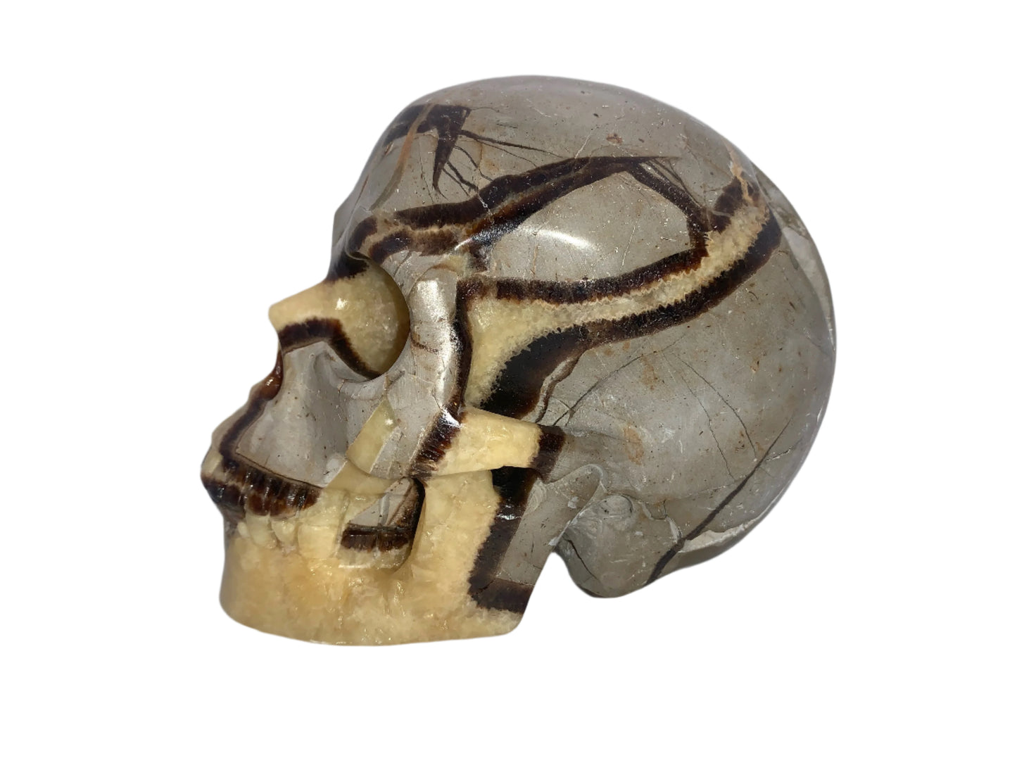5.4" Septarian Skull