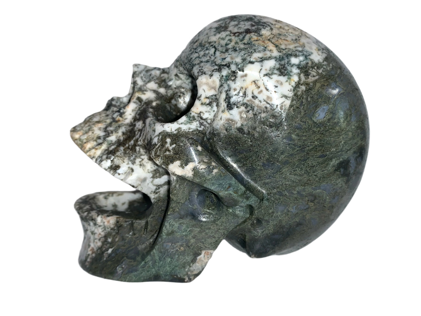 5.6" Moss Agate Singing Skull