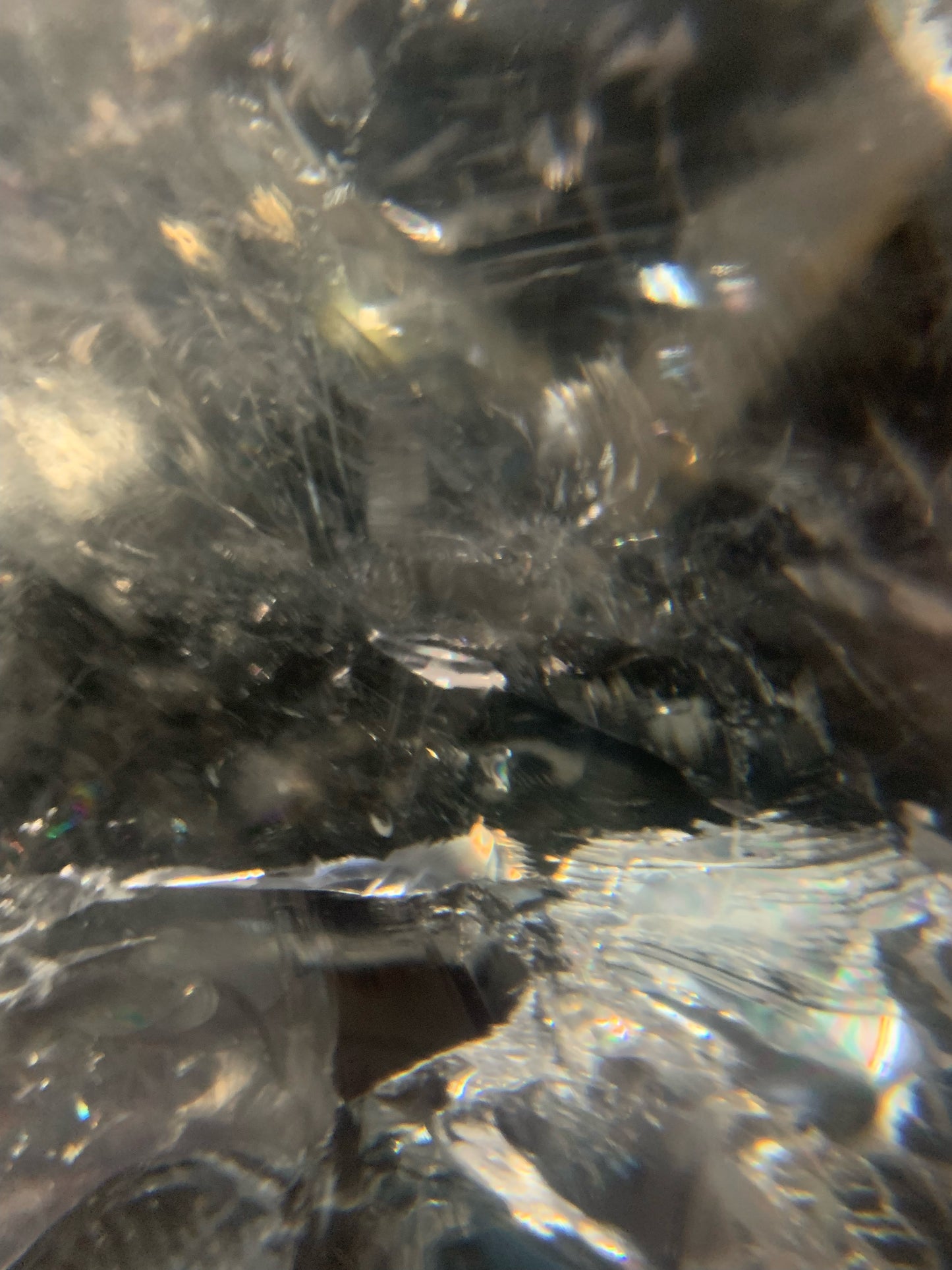 Himalayan Quartz Skull Star-brary w/ Rainbows