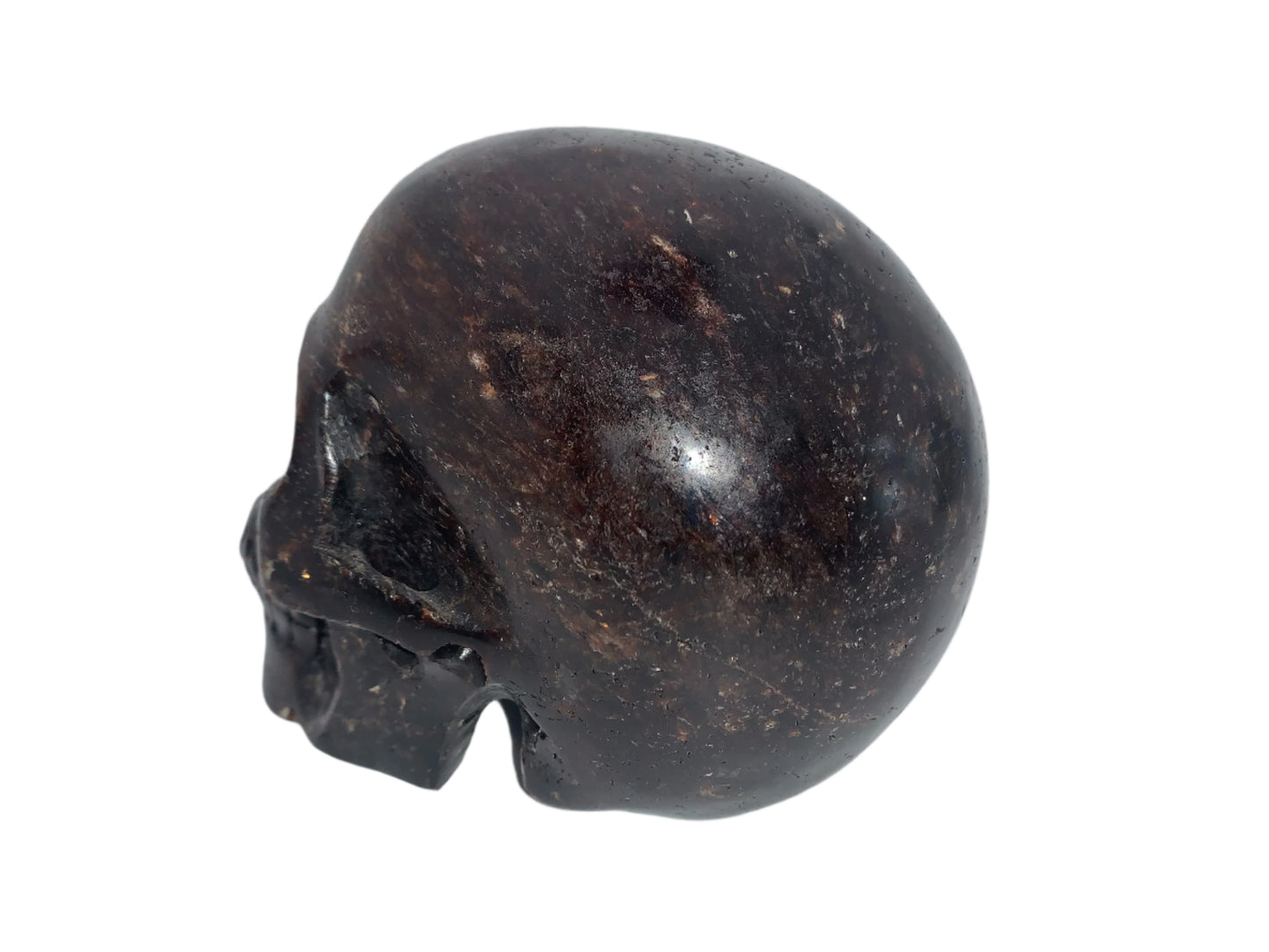 5.3" Garnet, Astrophyllite & Pyrite Skull