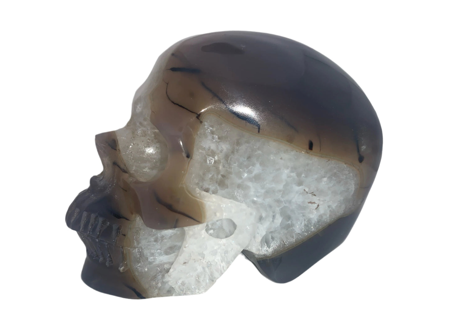 5.4" Agate and Quartz Geode Skull w/ Rainbows